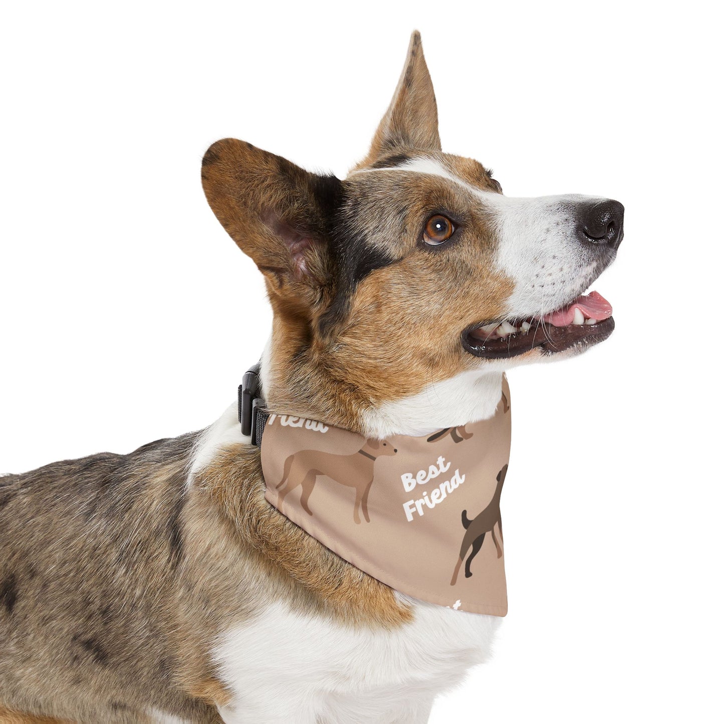 Best Friend Pet Bandana Collar — Cute Dog Accessory