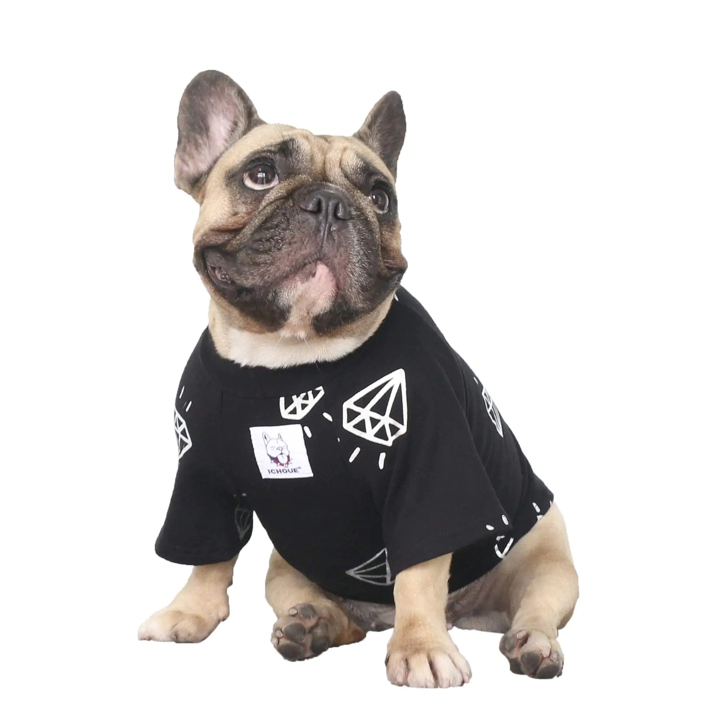 Dog wearing a black t-shirt with white graphics on a white background