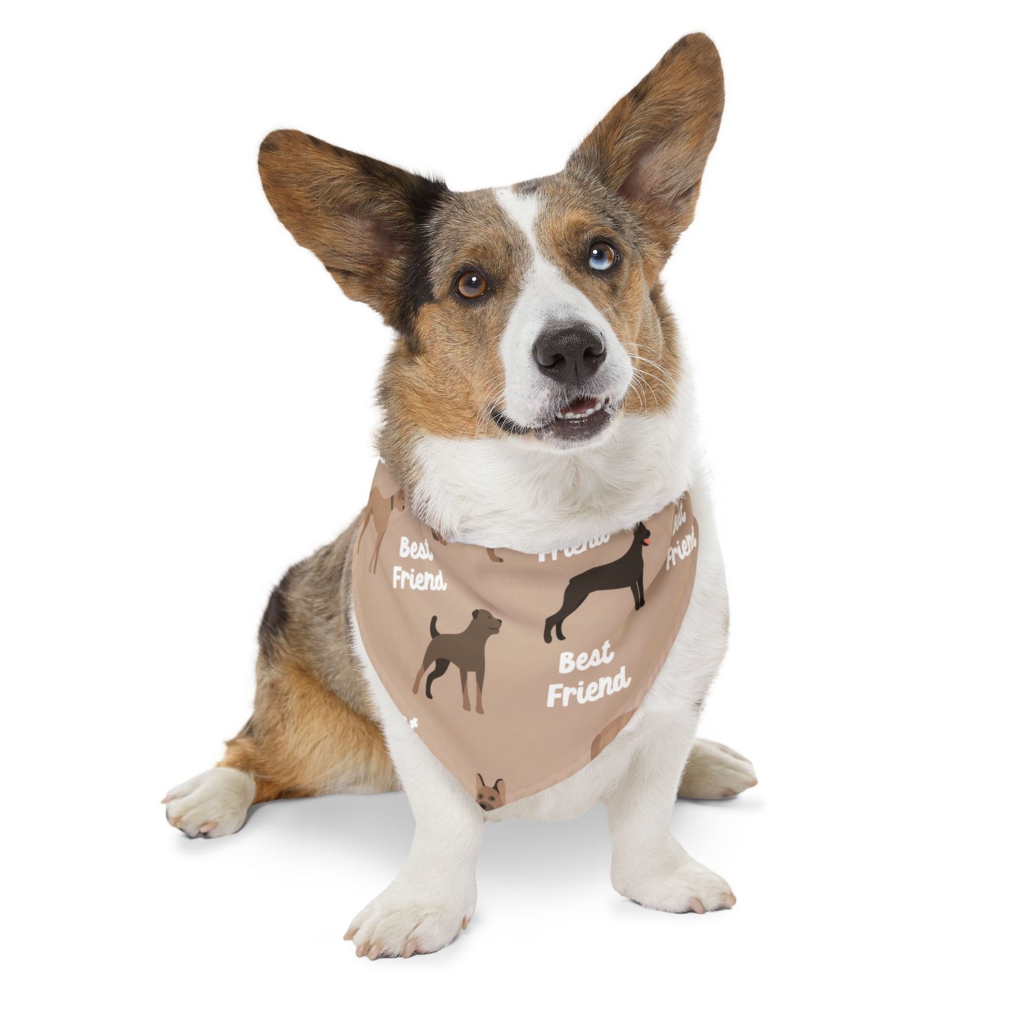 Best Friend Pet Bandana Collar — Cute Dog Accessory