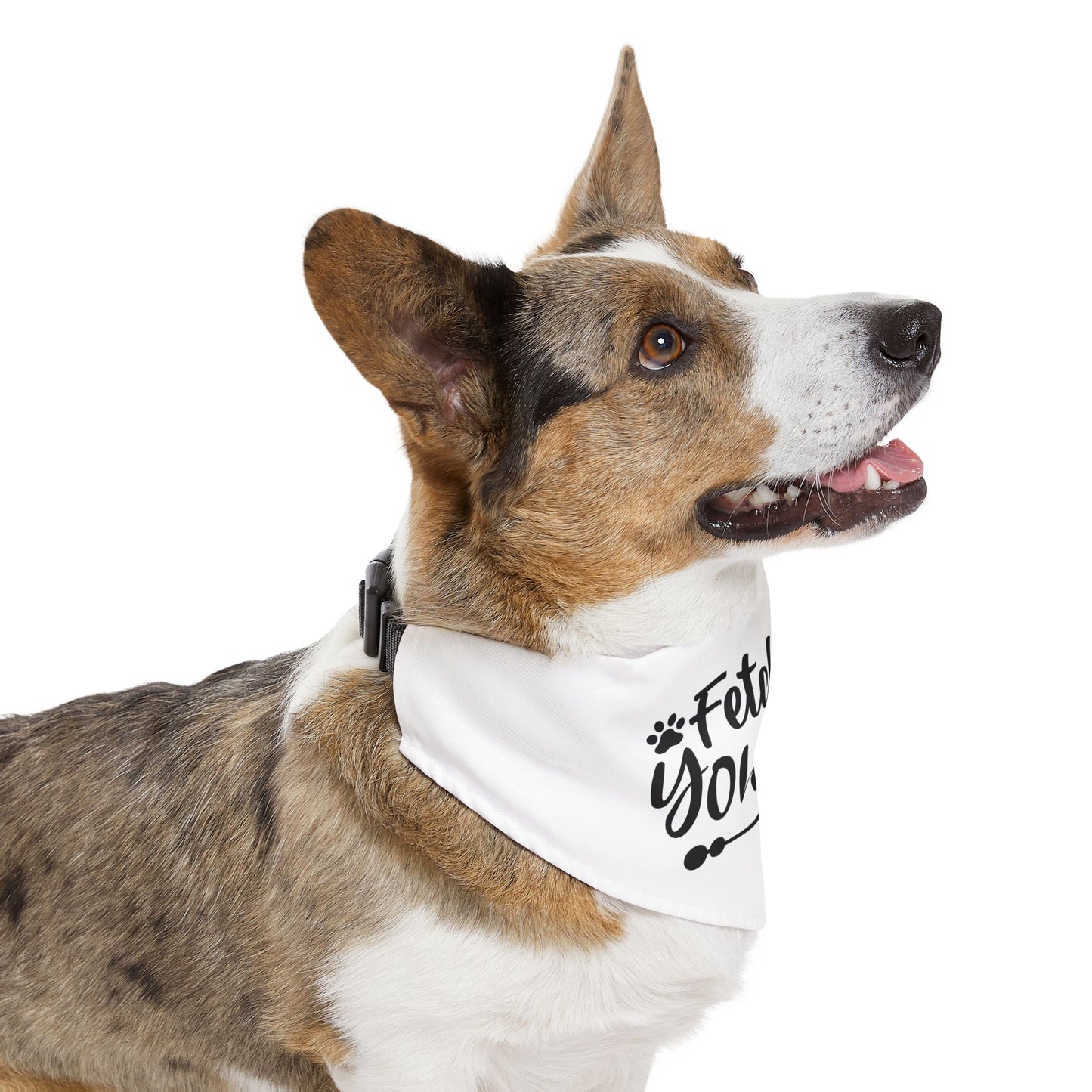 Fitch It Yourself Pet Bandana Collar — DIY Style Dog & Cat Accessory