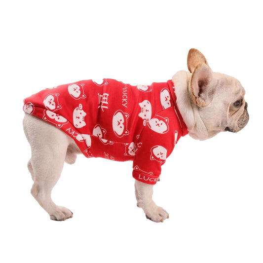 Dog wearing a red outfit with white patterns on a white background