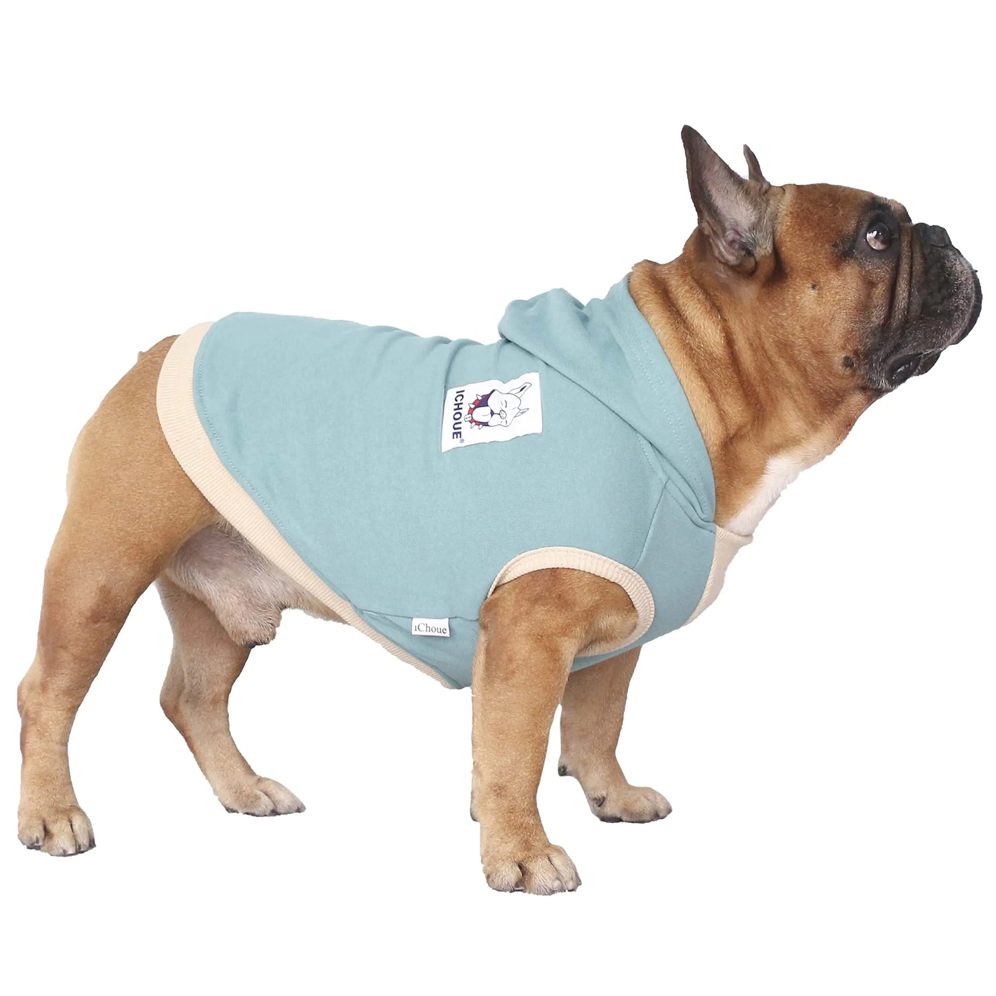 Stylish Breathable Cotton Hoodie for Pugs & small dogs