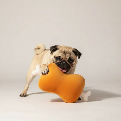 Pug dog holding an orange bone-shaped toy against a plain background
