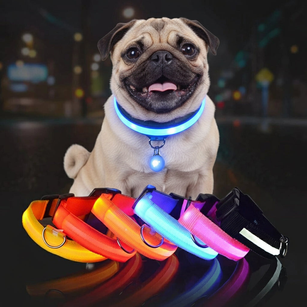Dog wearing a glowing blue collar with colorful collars displayed in front, on a dark background.
