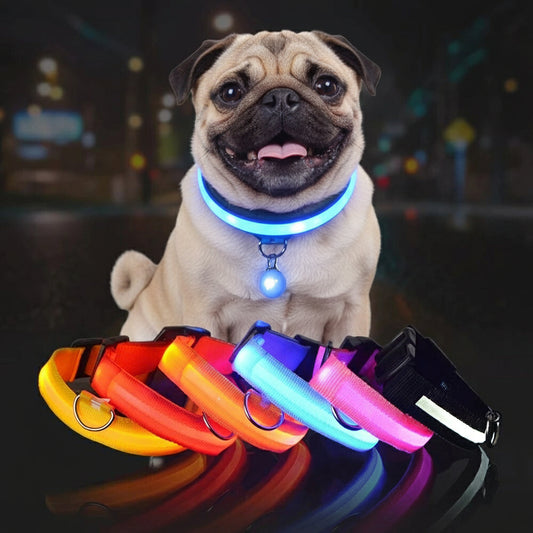 Dog wearing a glowing blue collar with colorful collars displayed in front, on a dark background.
