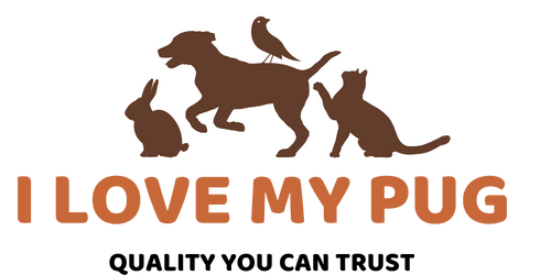 I love my pug