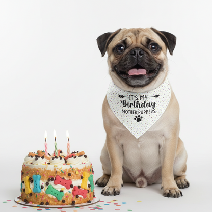 Pug dog with a birthday cake and bandana on a white background