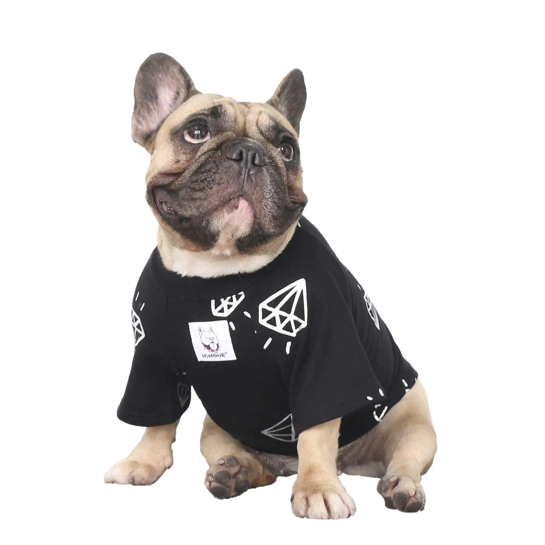 Dog wearing a black t-shirt with white graphics on a white background